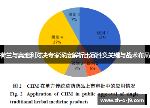 荷兰与奥地利对决专家深度解析比赛胜负关键与战术布局