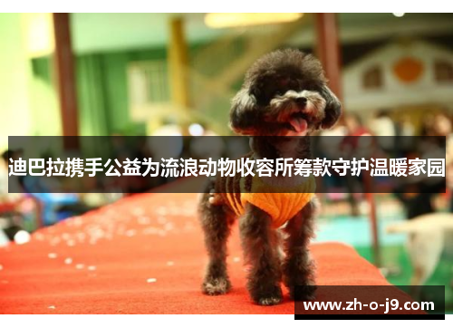 迪巴拉携手公益为流浪动物收容所筹款守护温暖家园 迪巴拉携手公益为流浪动物收容所筹款守护温暖家园