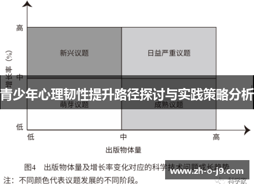 青少年心理韧性提升路径探讨与实践策略分析 青少年心理韧性提升路径探讨与实践策略分析